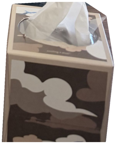 tissue box